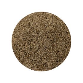 Sementes de Alcaravia Baixo Microbiano Biológicas