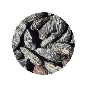Fava Tonka Inteira Biológica