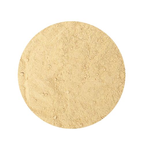 Maitake Mushroom Powder Organic