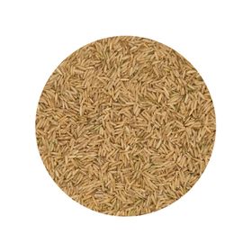 Arroz Integral Basmati Biológico
