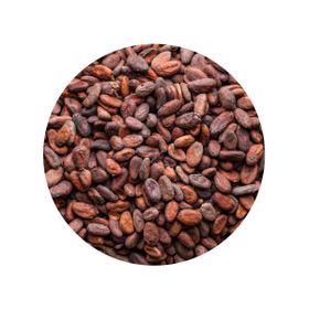 Grãos de Cacau RAW Biológicos