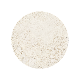 Água de Coco em Pó Biológica