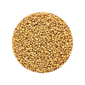 Sementes de Mostarda Inteiras Amarelas Sinapis Alba Baixo Microbiano Biológicas
