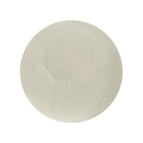 Proteína Whey em Pó Biológica (80% Proteína)