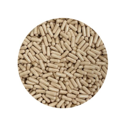 Probiotic Caps 25 billion CFU 15 strain
