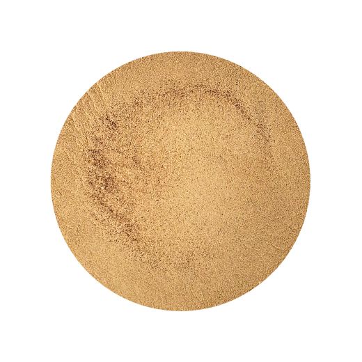Button Mushroom Powder Agaricus bisporus Organic