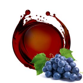 Vinagre Balsâmico Biológico 5L (Envelhecido)
