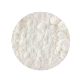 Leite de Coco em Pó Biológico