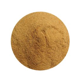 Açúcar de Flor de Coco Biológico