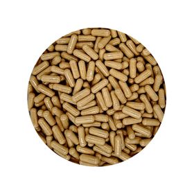 Cápsulas de Maitake 450 mg Biológicas