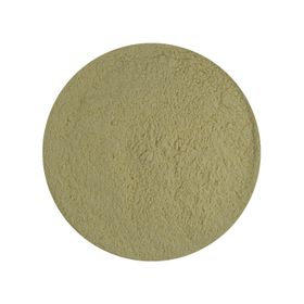 Cebola em Pó Biológica
